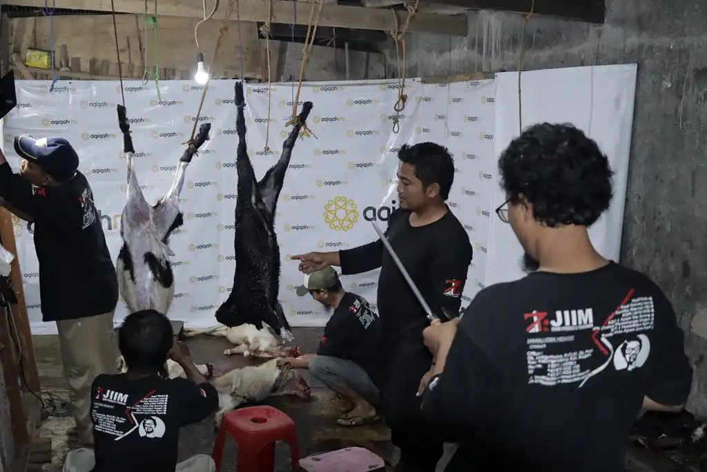 Galeri 2