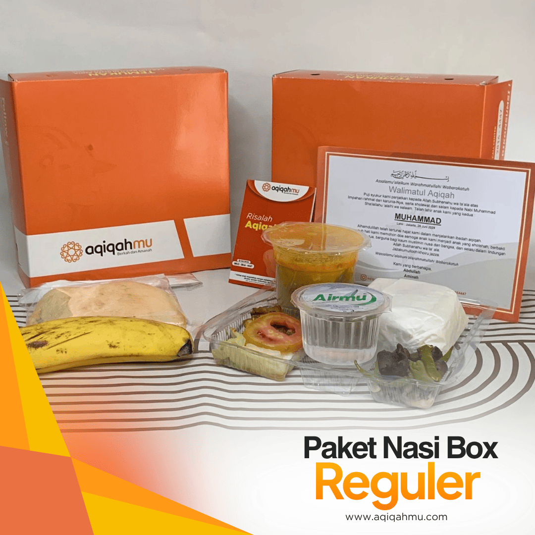 PAKET NASI BOX REGULER