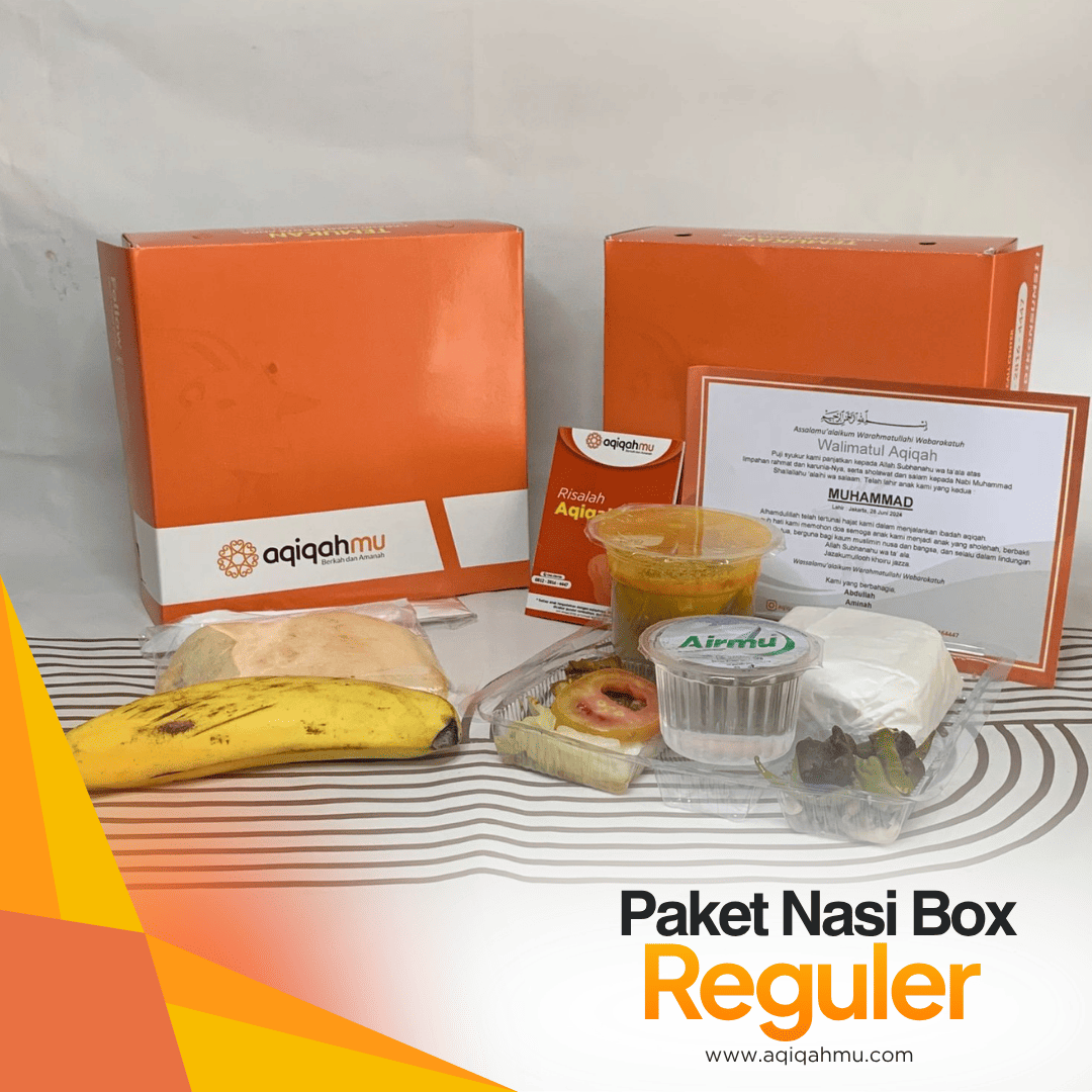 PAKET NASI BOX REGULER